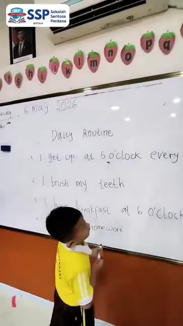 Daily Routine